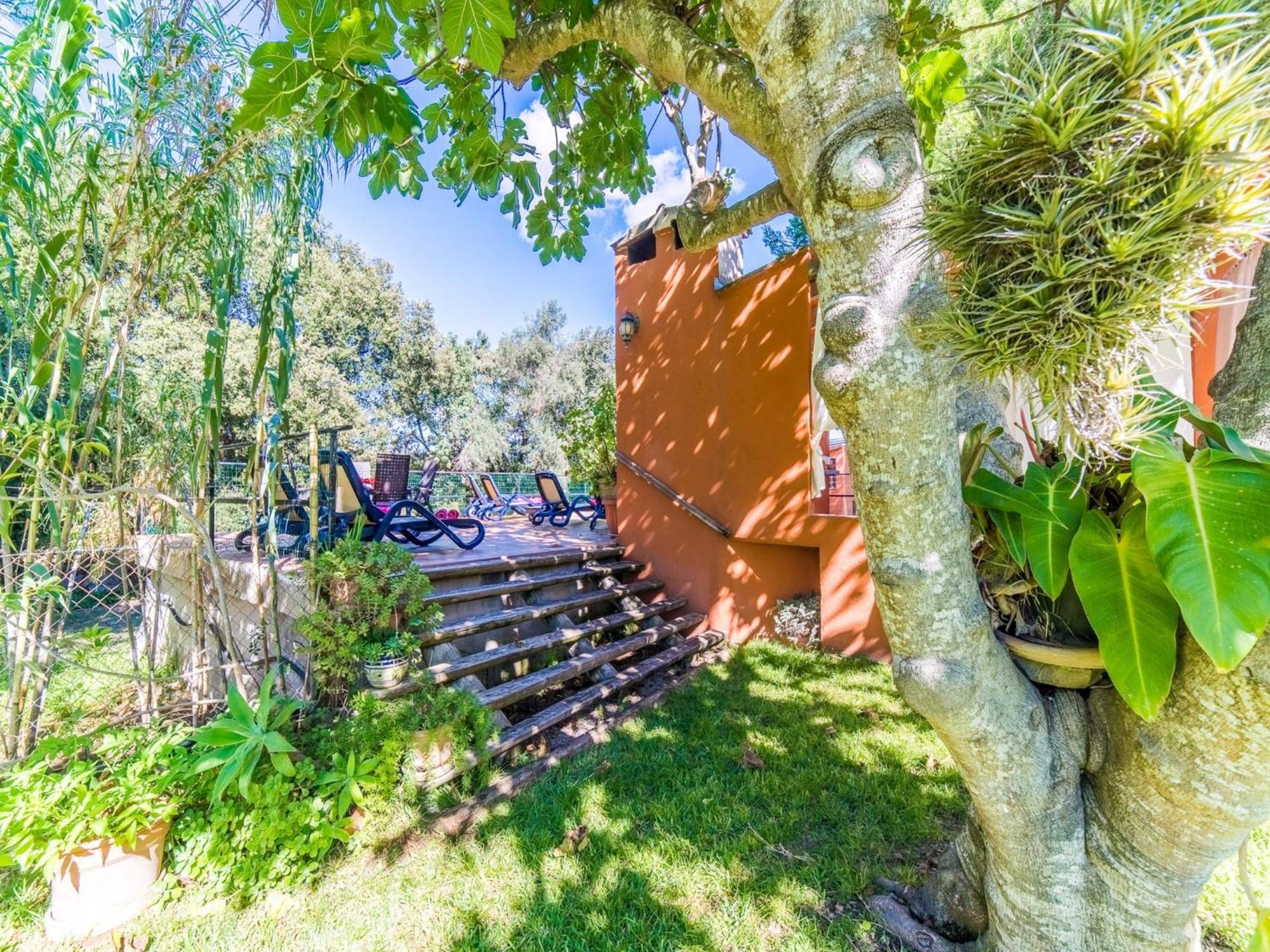 Finca In Mallorca With Private Pool Buger Luaran gambar